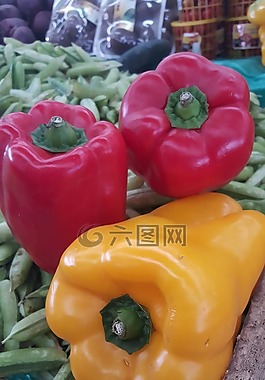 辣椒粉,西紅柿,黃色