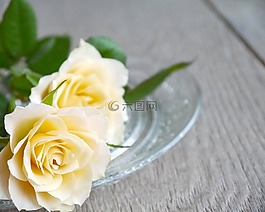 玫瑰,束玫瑰,花束