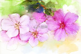 漆,花,花的