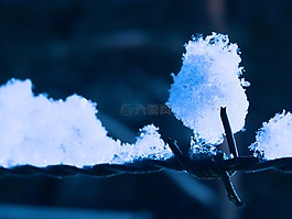 雪,鐵絲網(wǎng),冬天的印象
