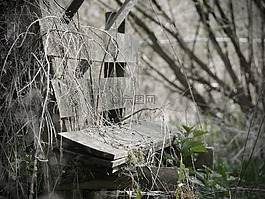 衰变,银行,老