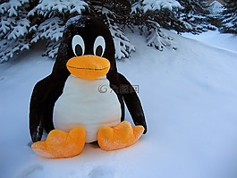 linux,企鹅,搞笑