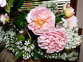 鮮花,混合,花瓶