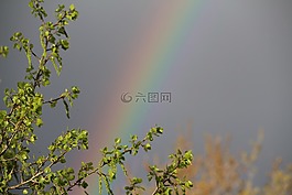 自然,彩虹,目睹