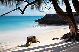 热带,沙,海洋
