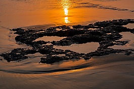 日落,海灘,海洋