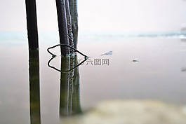 水,氧化,對稱性