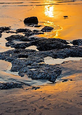 日落,海灘,海洋