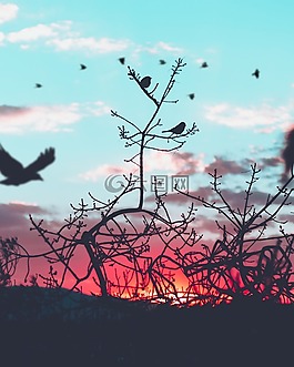 云,天空,側(cè)影