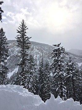 科羅拉多州,冬天,雪