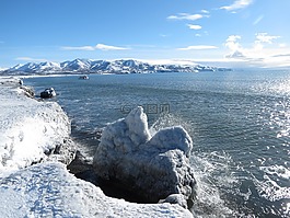 海洋,海,海灘