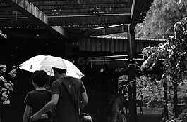 愛,夫婦,關(guān)系