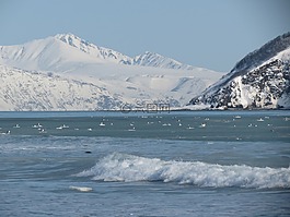 海洋,海,海灘
