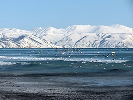 海洋,海,海灘