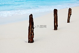 海灘,晚間,海