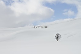 冬天,雪,隔離