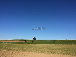 樹,字段,天空