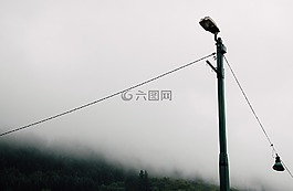 極點(diǎn),電線,樹
