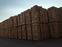 馬德拉,atardecer,cajas