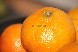 普通話,水果,橙