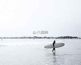 海,海洋,水