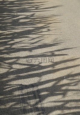 麥田,影子,地面