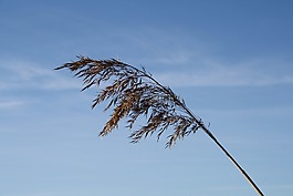 himmel,大自然,沒有人