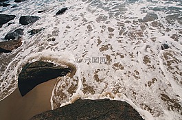 海,海洋,水