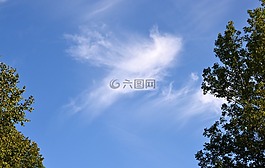 skyscaping,云,模式