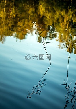 水,湖,干草
