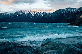 海,海洋,水