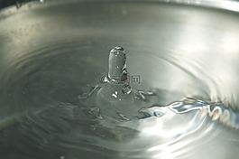 秋天,拖放,的