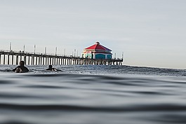 海,海洋,水