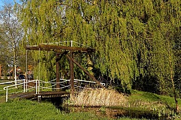 木桥,过渡,hängeweide