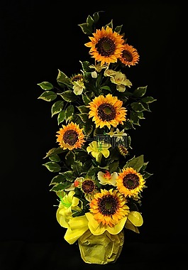 向日葵,花,黃色