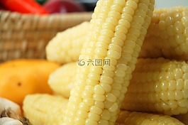 玉米,糧食,小吃