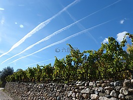 天空,葡萄園,墻上