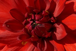 嬌琴紗,紅色,關(guān)閉