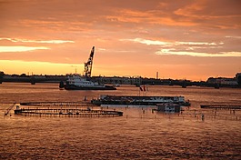 海,日落,小船