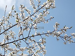 春暖花開,透視,天空