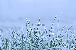 冬天,雪,季節