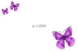 蝴蝶,postkartenmotiv,背景