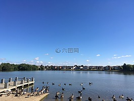 藍(lán)色的天空,鴨子,湖