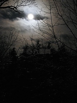 月亮,月光,夜