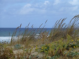 大西洋,海岸,景觀
