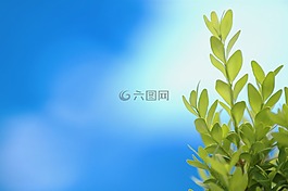 厂,绿色,蓝色背景