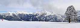 雪,冬天,全景圖