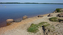 湖,夏季,游泳