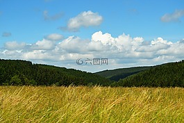 天空,云,樹木