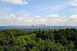 天空,云,樹木